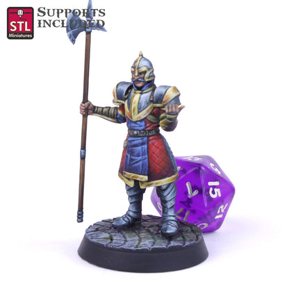 City Guard A Printable 3D Model STLMiniatures